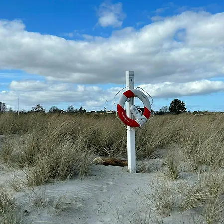 Modern Family House Close To And Forest *