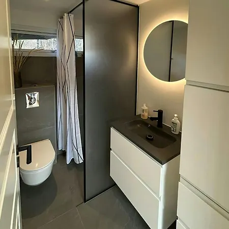 Modern Family House Close To And Forest